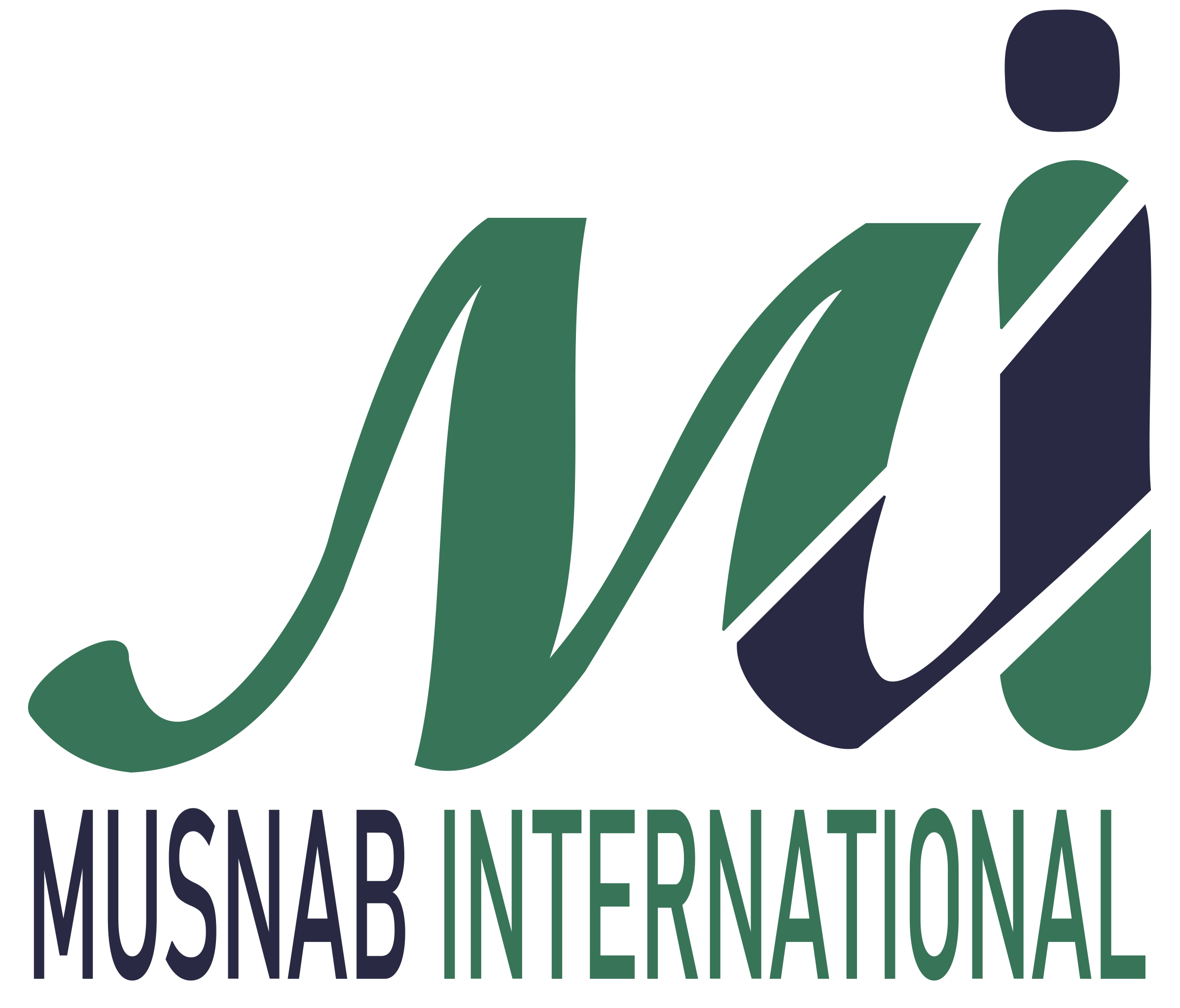 Musnab International